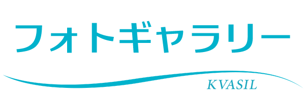 フォトギャラリー