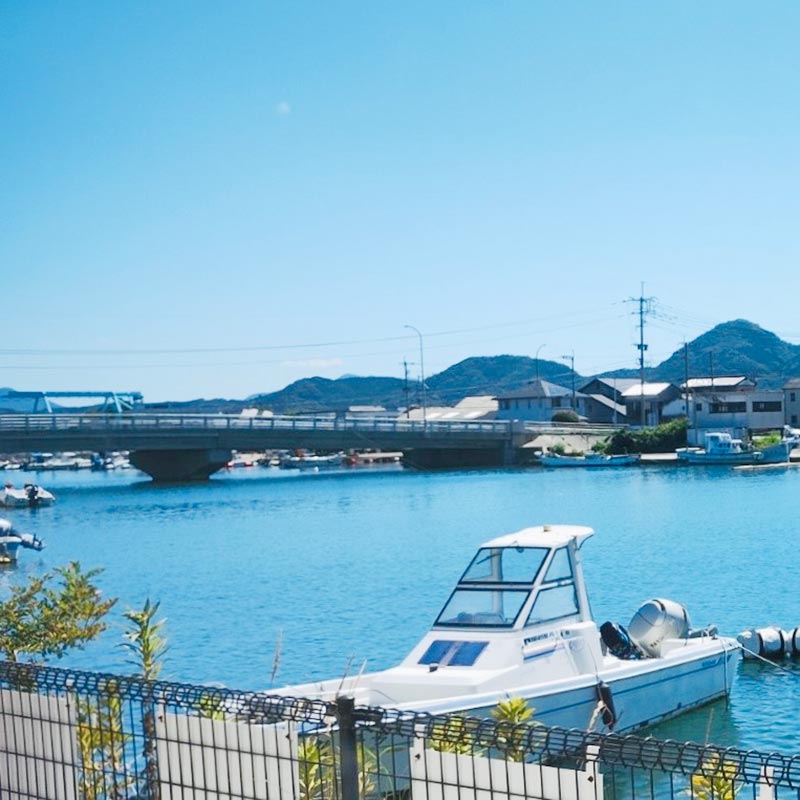 海