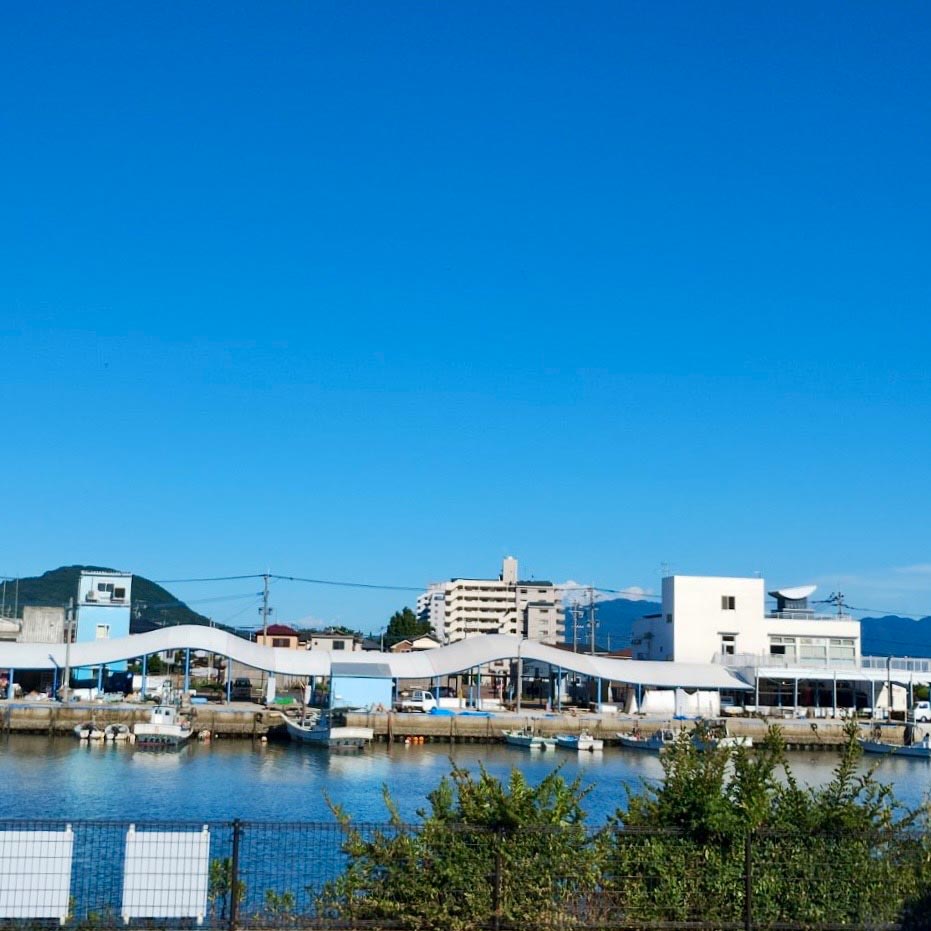 海